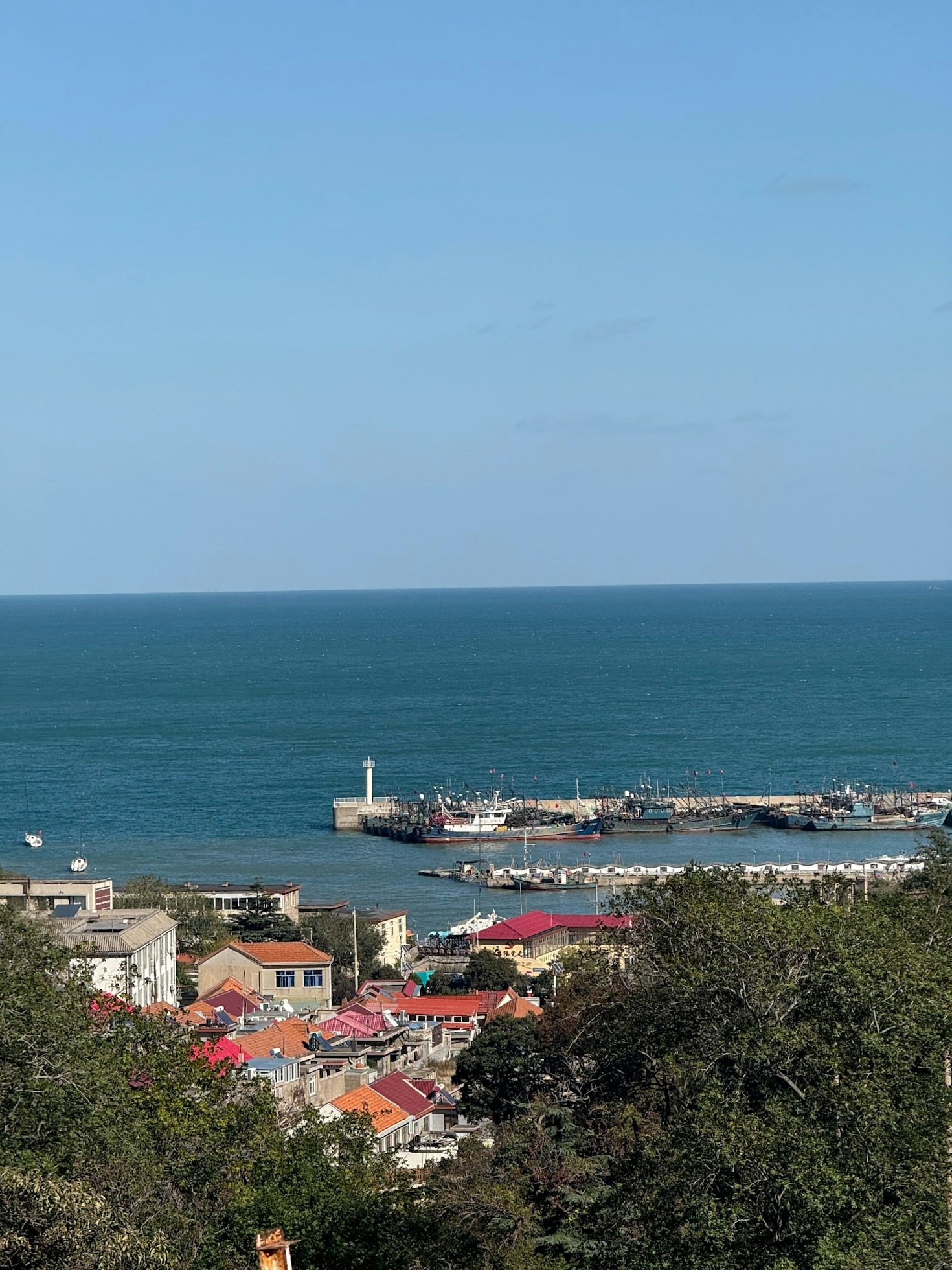 Investing in Paradise: Property Opportunities in Baja